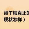 胥午梅真正的老公是谁（胥午梅离开央视了吗现状怎样）