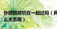 孙骁骁郑恺在一起过吗(两人之间到底有着什么关系呢)