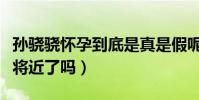 孙骁骁怀孕到底是真是假呢(难道她们真的事将近了吗)