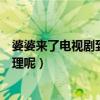 婆婆来了电视剧到底怎么样呢（这部剧到底教给大家什么道理呢）