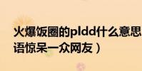 火爆饭圈的pldd什么意思(新型流行网络用语惊呆一众网友)