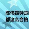 陈伟霆钟楚曦宠爱cp能成吗（两人采访开车都这么合拍）