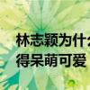 林志颖为什么不晒kimi了（小时候的kimi长得呆萌可爱）
