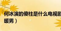 何冰演的傻柱是什么电视剧(他凭这部剧成了暖男)