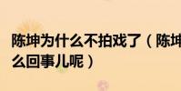 陈坤为什么不拍戏了(陈坤的资源都没了是怎么回事儿呢)