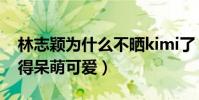 林志颖为什么不晒kimi了(小时候的kimi长得呆萌可爱)