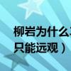 柳岩为什么39岁无人追（网友调侃柳岩女神只能远观）