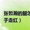 张哲瀚的腿怎么伤了（娱乐圈蛰伏多年的他终于走红）