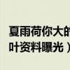 夏雨荷你大的口气什么梗（神秘歌手五色石南叶资料曝光）
