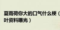 夏雨荷你大的口气什么梗(神秘歌手五色石南叶资料曝光)