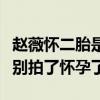赵薇怀二胎是真的吗（现身机场肚子凸助理说别拍了怀孕了）