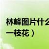 林峰图片什么时候看都帅（完美验证男人四十一枝花）