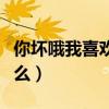 你坏哦我喜欢女主角是谁（这个梗的意思是什么）