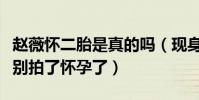 赵薇怀二胎是真的吗(现身机场肚子凸助理说别拍了怀孕了)