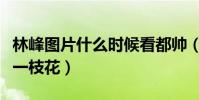 林峰图片什么时候看都帅(完美验证男人四十一枝花)