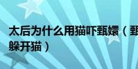 太后为什么用猫吓甄嬛(甄嬛不想入宫为何不躲开猫)