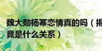魏大勋杨幂恋情真的吗(揭秘魏大勋和杨幂究竟是什么关系)