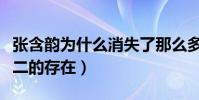 张含韵为什么消失了那么多年(她曾是独一无二的存在)