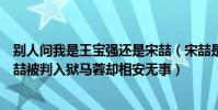 别人问我是王宝强还是宋喆(宋喆是怎么被发现的 为啥宋喆被判入狱马蓉却相安无事)