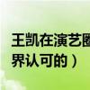 王凯在演艺圈是什么地位（王凯是如何获得外界认可的）