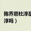 陈乔恩杜淳是真的吗（陈乔恩怀孕了老公是杜淳吗）