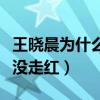 王晓晨为什么会哭（实力出众的她搭档胡歌也没走红）