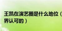 王凯在演艺圈是什么地位(王凯是如何获得外界认可的)