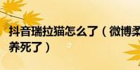 抖音瑞拉猫怎么了(微博柔柔要早睡快把它给养死了)