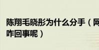 陈翔毛晓彤为什么分手(网曝二人分手有内幕咋回事呢)