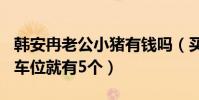 韩安冉老公小猪有钱吗(买下430平米别墅只车位就有5个)
