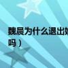 魏晨为什么退出娱乐圈（魏晨现在在做什么他被雪藏是真的吗）