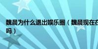 魏晨为什么退出娱乐圈(魏晨现在在做什么他被雪藏是真的吗)