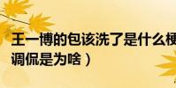 王一博的包该洗了是什么梗(王一博脏脏包被调侃是为啥)