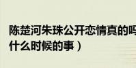 陈楚河朱珠公开恋情真的吗(两人在一起了吗什么时候的事)