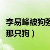 李易峰被狗强吻什么梗（粉丝调侃自己愿意做那只狗）
