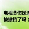 电视悲伤逆流成河为啥不播（原因引热议这是被撤档了吗）
