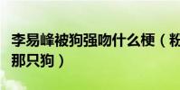 李易峰被狗强吻什么梗(粉丝调侃自己愿意做那只狗)