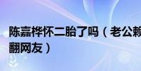 陈嘉桦怀二胎了吗(老公赖斯翔的幽默回应笑翻网友)