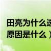 田亮为什么选叶一茜（叶一茜和田亮在一起的原因是什么）