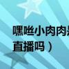 嘿咝小肉肉是什么梗（怀孕退出了YY现在还直播吗）