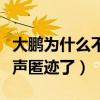 大鹏为什么不火了（爆红之后的他为什么又销声匿迹了）