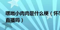 嘿咝小肉肉是什么梗(怀孕退出了YY现在还直播吗)