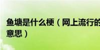 鱼塘是什么梗(网上流行的承包鱼塘到底是啥意思)