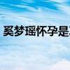奚梦瑶怀孕是真的吗（何献君对此说了什么）