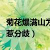 菊花爆满山为什么是禁歌（德云七队翻唱走红惹分歧）