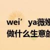 wei’ya薇娅老公叫什么名字（薇娅的老公是做什么生意的）