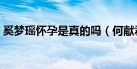 奚梦瑶怀孕是真的吗(何献君对此说了什么)