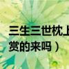 三生三世枕上电视剧预告曝光（这波颜值你欣赏的来吗）