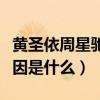 黄圣依周星驰的关系怎么样（黄圣依被雪藏原因是什么）