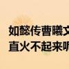 如懿传曹曦文扮演的谁（颜值高演技为什么一直火不起来呢）